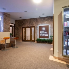 Wellness Hotel Studánka, Rychnov nad Kněžnou, Orlické hory - recepce