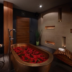 Spa Hotel Felicitas****, lázně Poděbrady